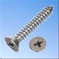 Yıldız Havşa Başlı Vida