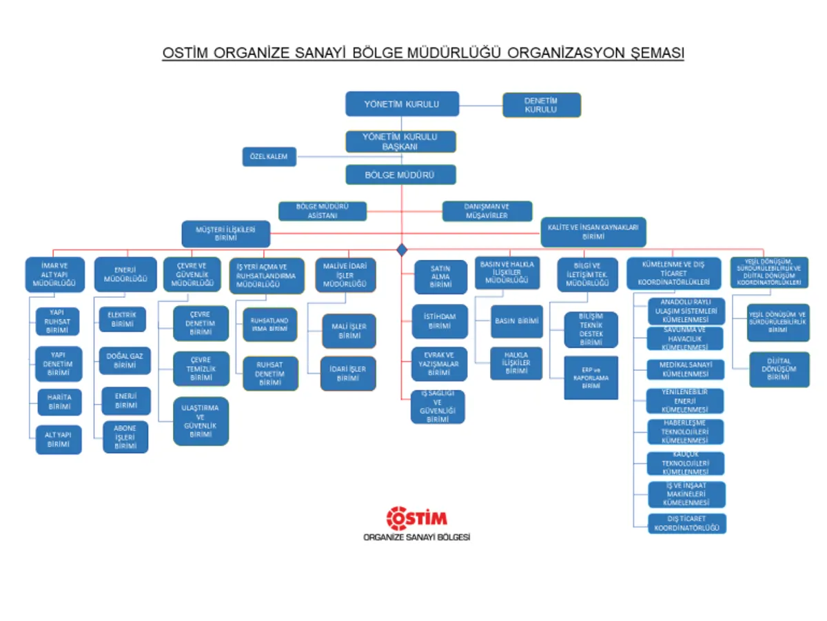 Organizasyon Şeması