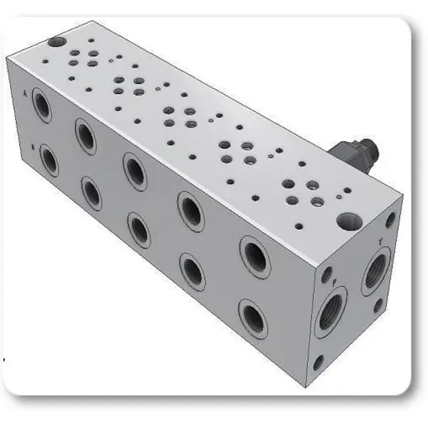 Standart Manifold