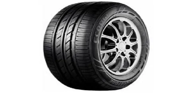 Bridgestone  Yüksek Performans Lastiği