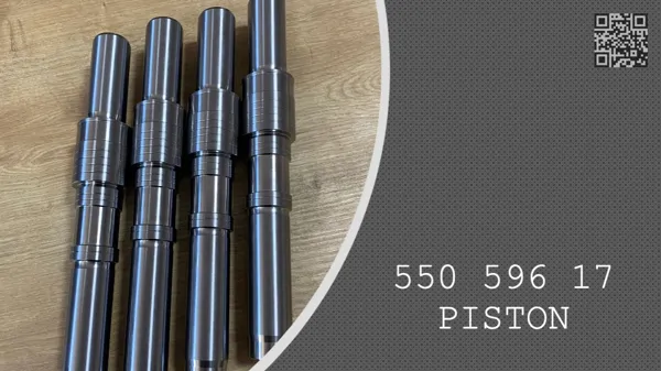 PISTON - 550 596 17 - 55059617