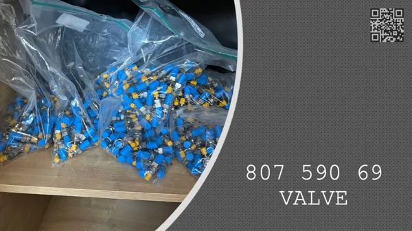 VALVE - 807 590 69 - 80759069