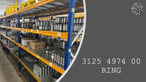 RING - 3125 4974 00 - 3125497400
