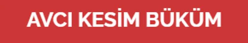 Ek görsel