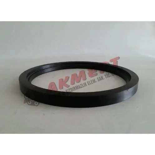 Putzmeister Baskı Ringi