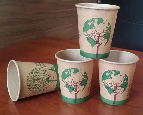 cardboard cup