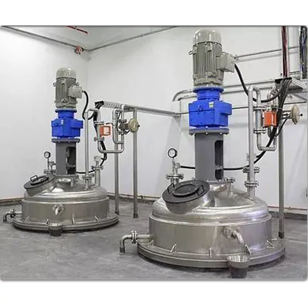Gelatinization Reactor