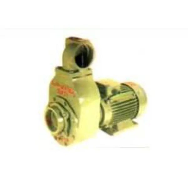 Pumps and Electric Pumps