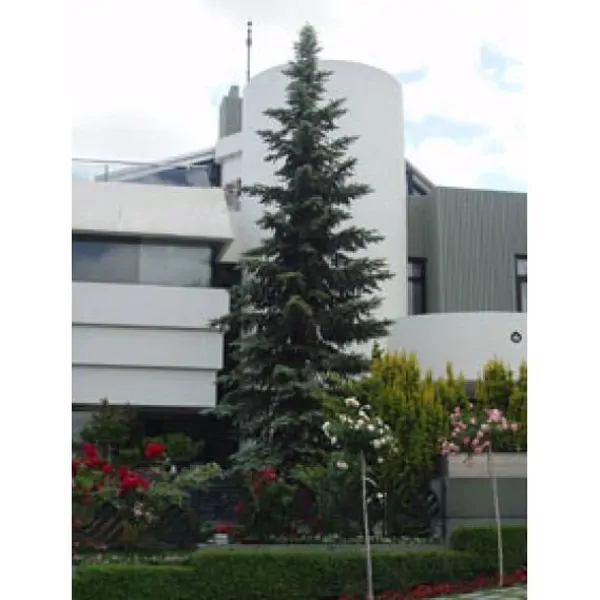 YAVUZ CENGIZ HOUSE