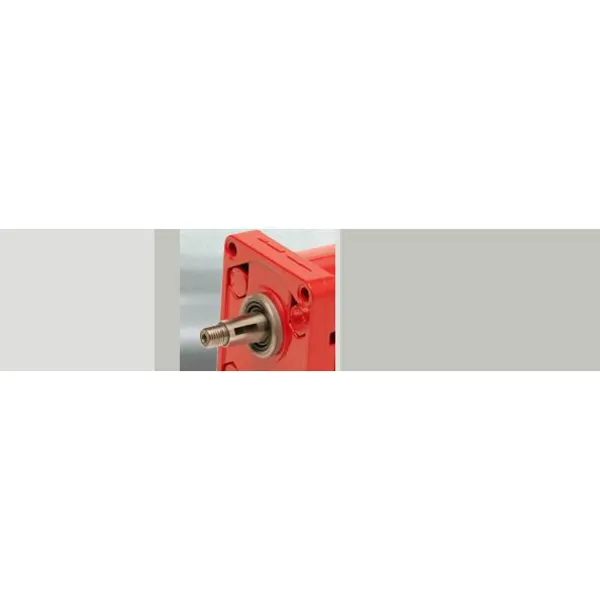 External Gear Pump