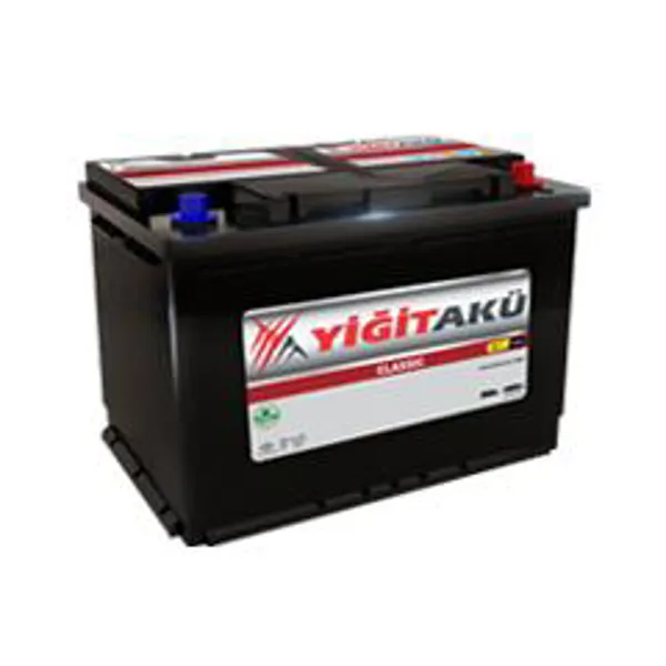 Passenger Car Battery
