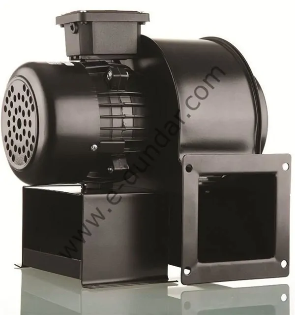 Snail Extractor