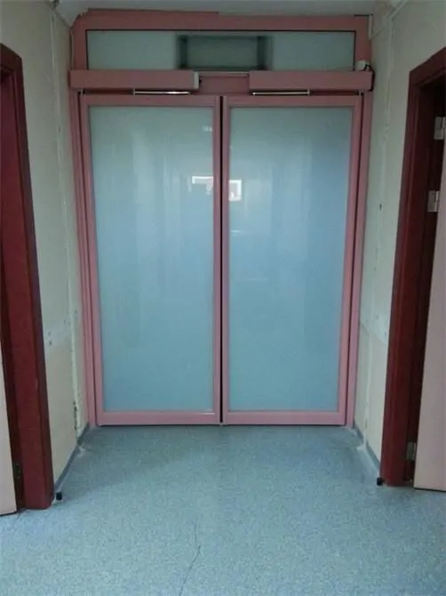 Hinged Automatic Door Mechanism