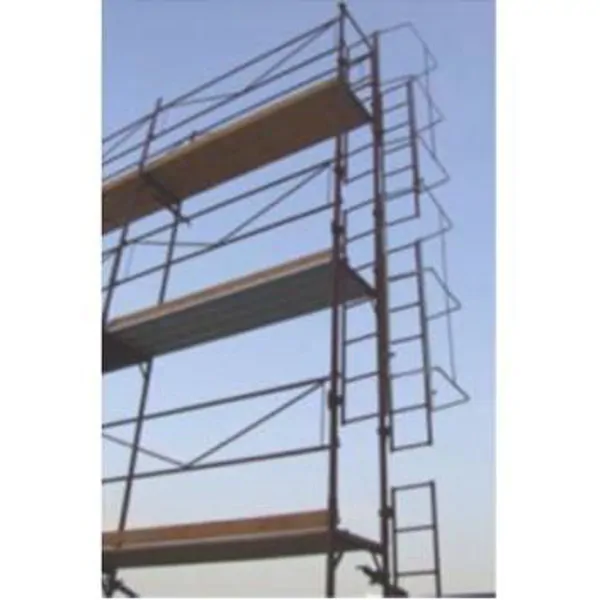 Climbing Outdoor Stairs with Safety Basket