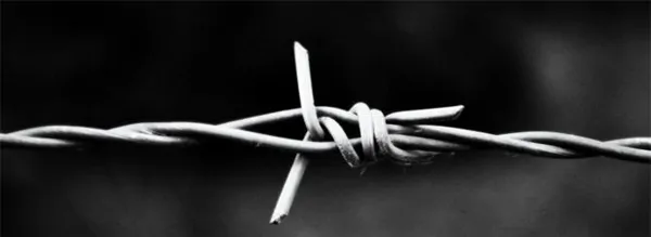 Conventional Barbed Wire