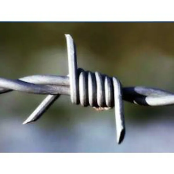 Reverse Twist Barbed Wire