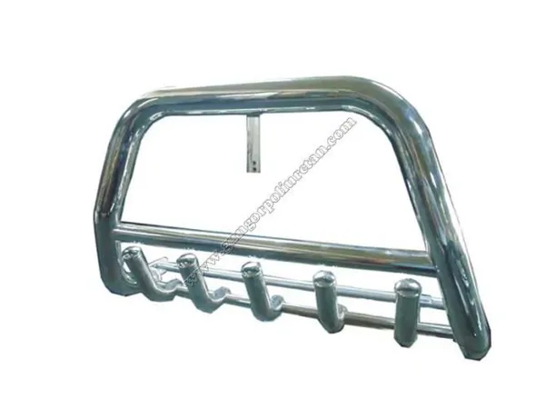 Chrome Front Protection