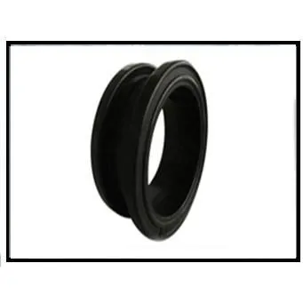 Valve Seal
