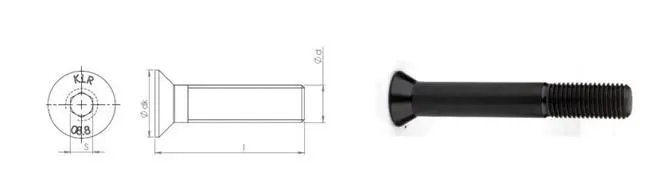 Round Head Bolt