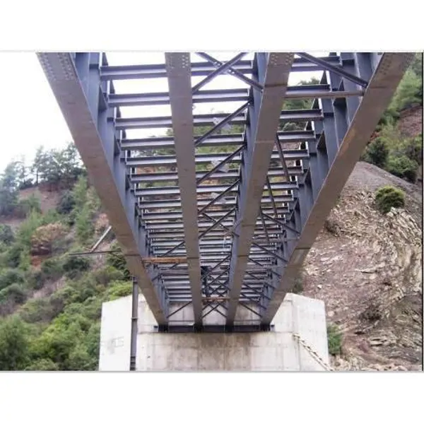 Steel Structures