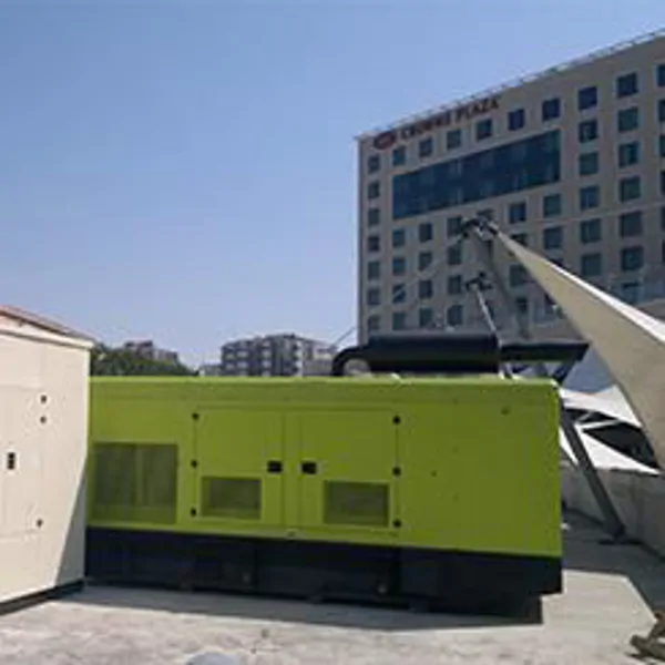 Generator Cabinet
