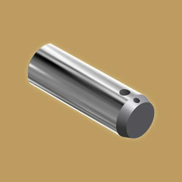 Flat Pin with Bolt Hole