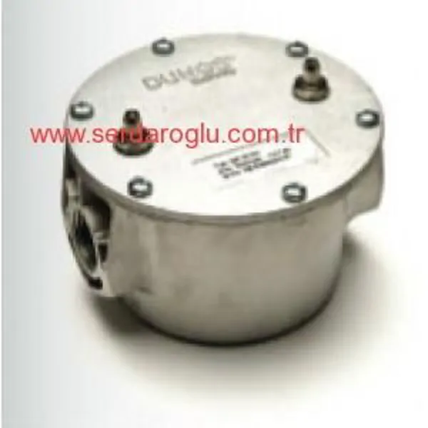 Dungs Gear Natural Gas Filters