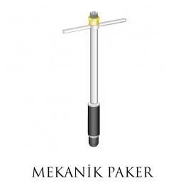 Mechanical Packer