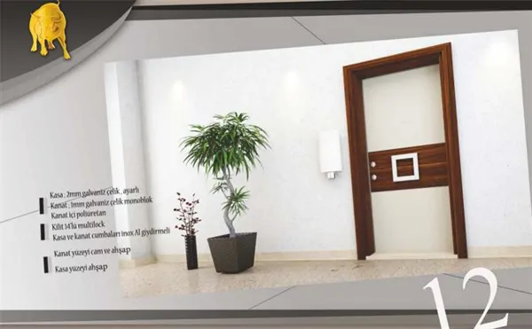 Steel Door with Wooden Surface