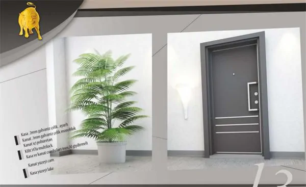 Steel Door