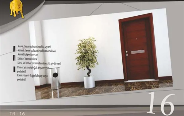 Steel Door with Natural Wood Look