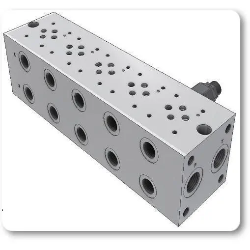 Standart Manifold