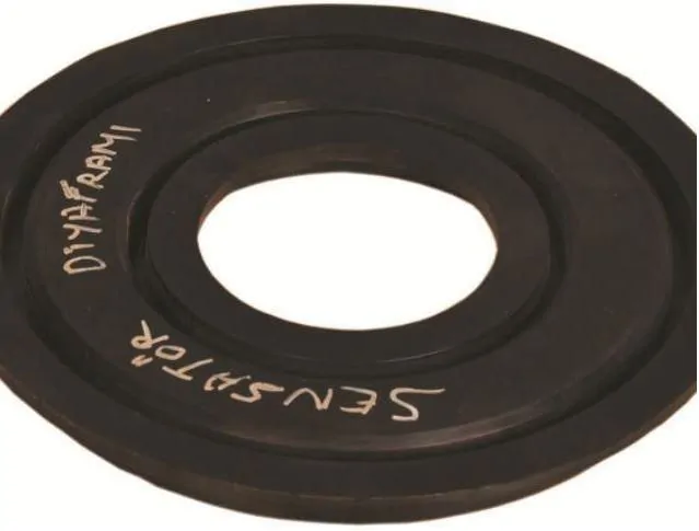 Sensory Diaphragm