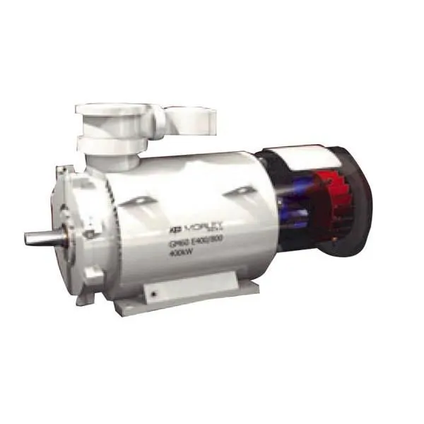 Belt Conveyor Motor