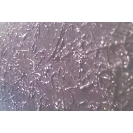Textured Polyethylene Membrane