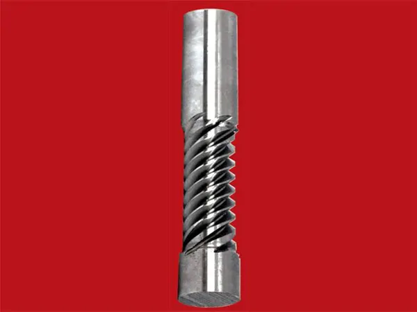 2.5 Module 8-Flute Worm Screw