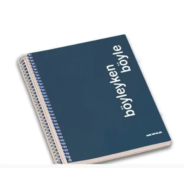 This is how a Divided Series Notebook is