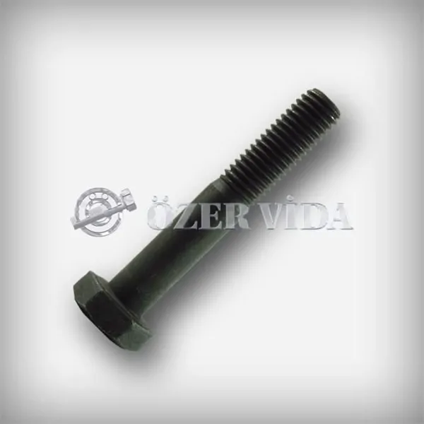 Hexagonal Steel Bolt