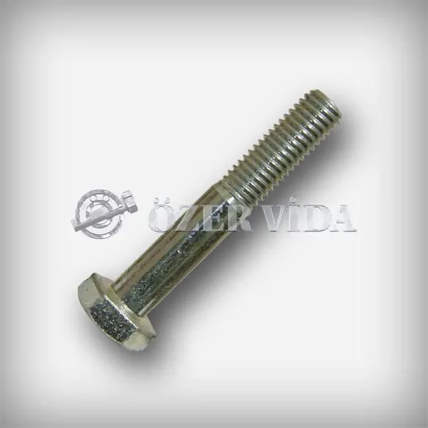 Hexagonal Iron Bolt