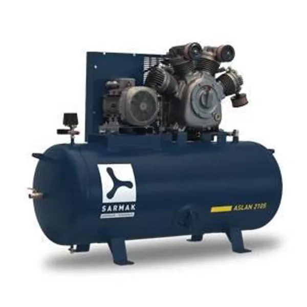 Electric Small Capacity Piston Compressors