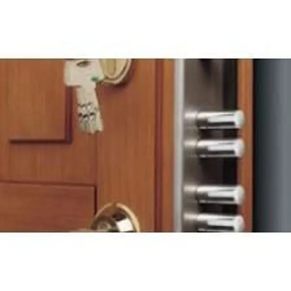 Steel Door