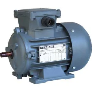 electric motor, Gamak electric motor