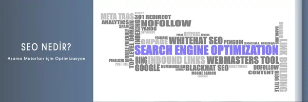 SEO (Search Engine Optimization)