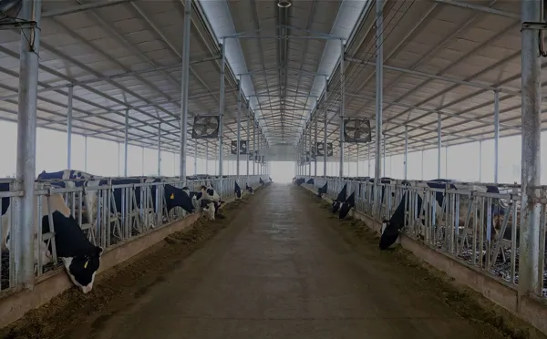 LIVESTOCK FARMING AND STUD FARM COOLING