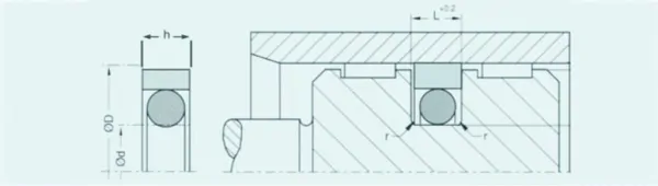 Hydraulic Piston Seals
