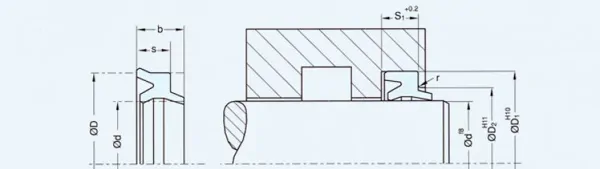 Hydraulic Dust Seals