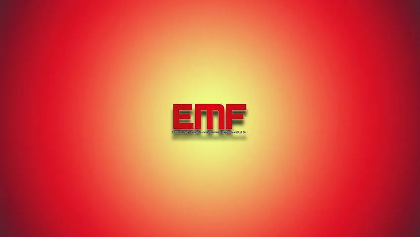 EMF Brakes