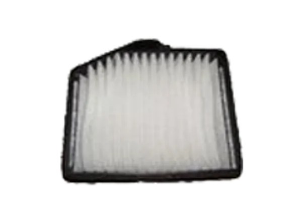 Pollen Filter