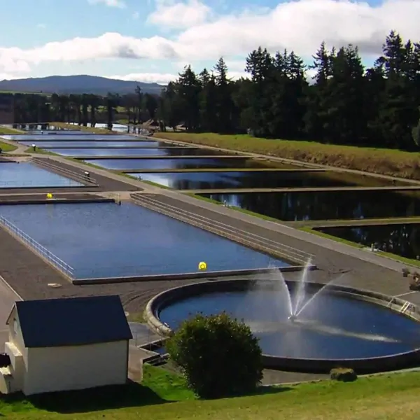 Wastewater Chemicals