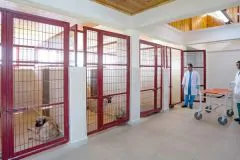 ANIMAL SHELTERS
